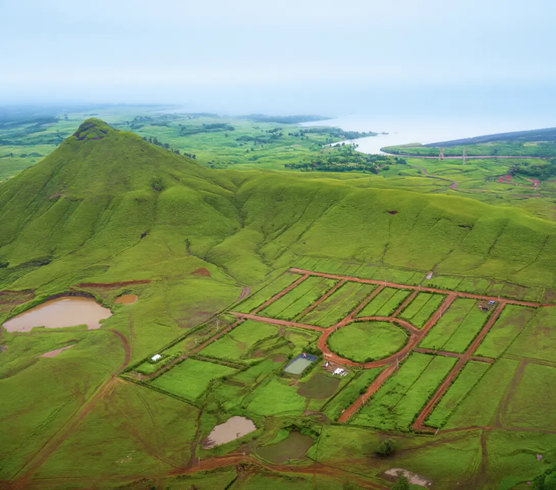 Mullbery Hills Layout